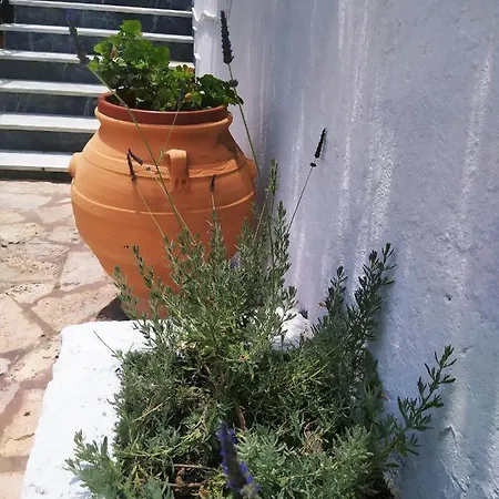 Aronis شقة فندقية 4*